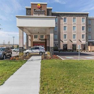 Comfort Inn & Suites Airport North